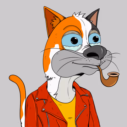Bad Cats Gang