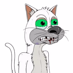 Bad Cat #2372