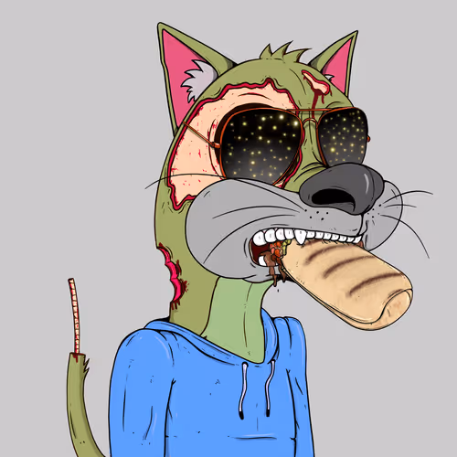 Bad Cats Gang