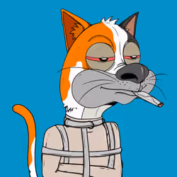 Bad Cat #2874
