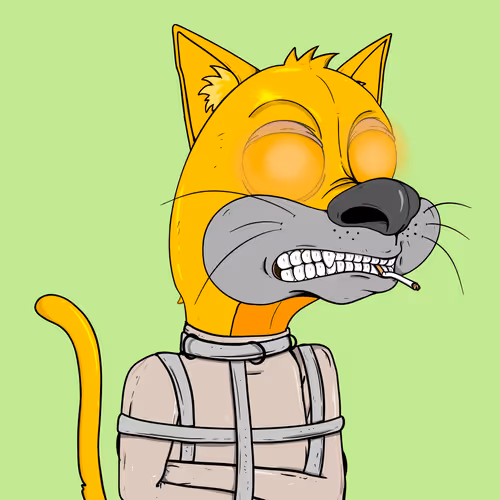 Bad Cats Gang