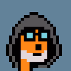 MetaPunks #1579