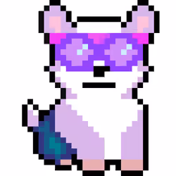 Corgi from Block #302539152