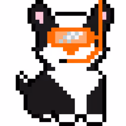 Corgi #1237