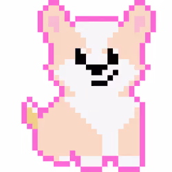 Corgi #1293