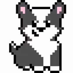 Corgi #1881
