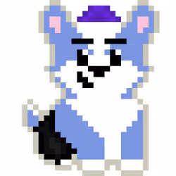 Corgi #5889