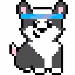 Corgi #8091