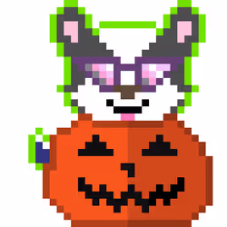 12091033