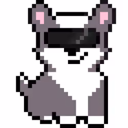 Corgi from Block #318861928