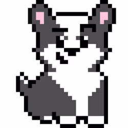 Corgi #4576