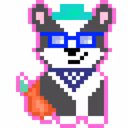 Corgi #35