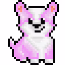 Corgi #2895
