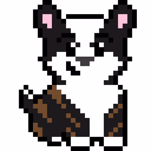 Crypto Corgis