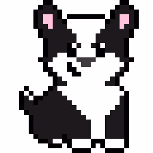 Crypto Corgis