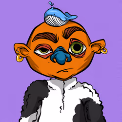 31