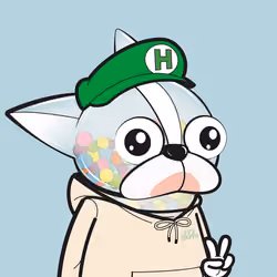 Heedong #1434