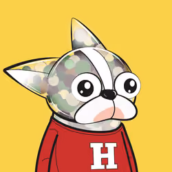 Heedong #4489