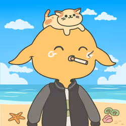 145