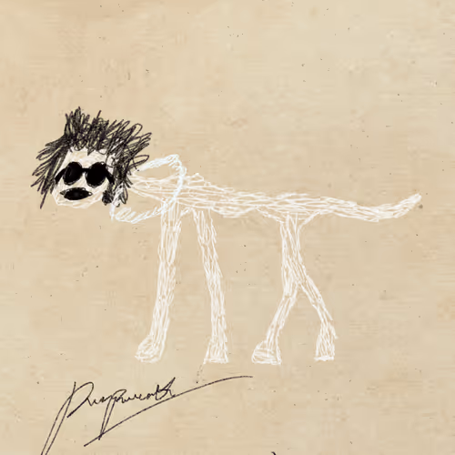 Pettametti