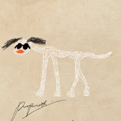 Pettametti #25