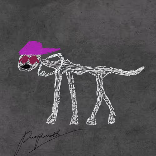 Pettametti