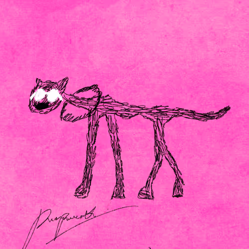 Pettametti #278