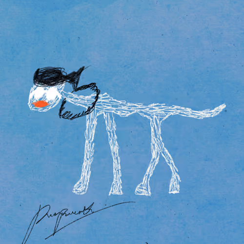 Pettametti #231