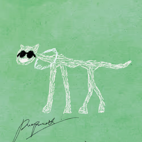 Pettametti