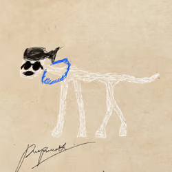 Pettametti #225
