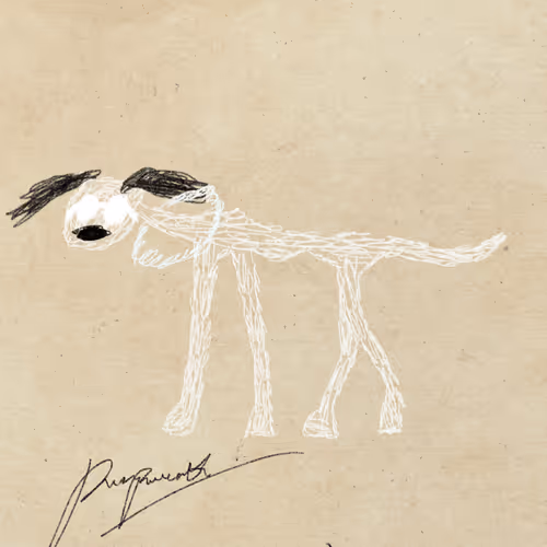 Pettametti