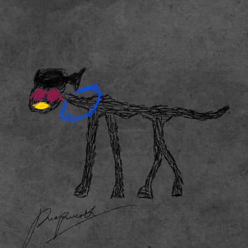 Pettametti #254