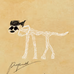 Pettametti #80