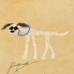 Pettametti #170