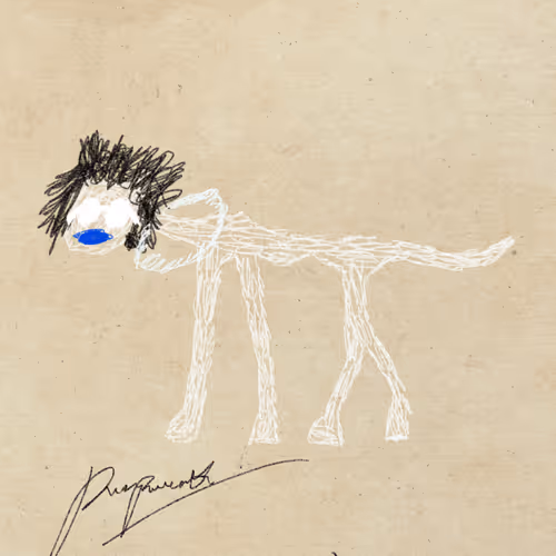 Pettametti