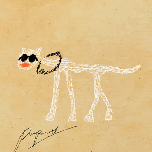 Pettametti #28