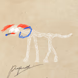 Pettametti #159
