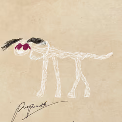 Pettametti #222