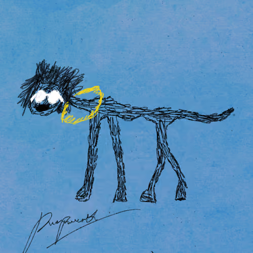 Pettametti #71