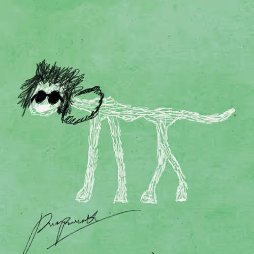 Pettametti