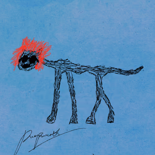 Pettametti #260