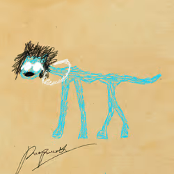Pettametti #226