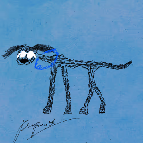 Pettametti