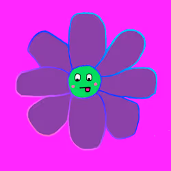 80