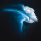 PHLY IMAGES - PHLYT