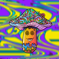 50