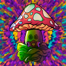 729