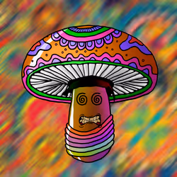 508
