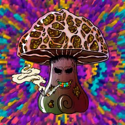 54