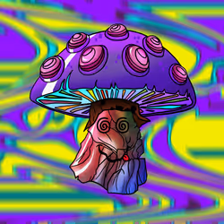 40